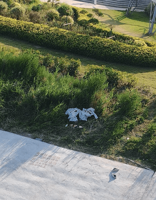 痛心！宋士佳遗体已被发现<strong></p>
<p>银行理财业务</strong>，年仅30岁