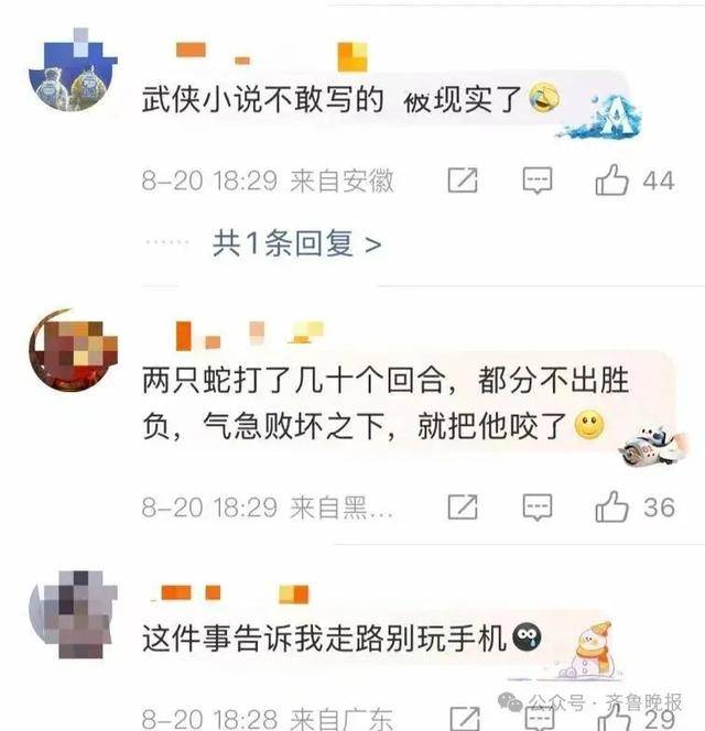 安徽宣城一男子走路玩手机<strong></p>
<p>浦发银行理财</strong>，一脚踩中打架的竹叶青和五步蛇，被俩毒蛇咬3口！医院：暂无生命危险，正在治疗