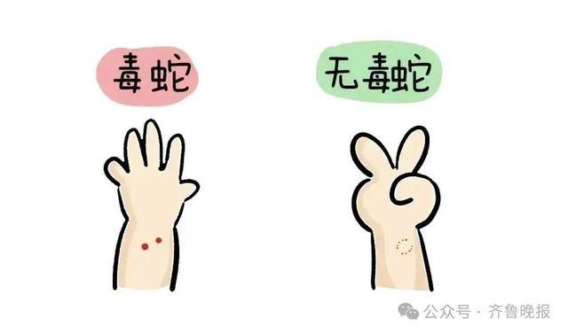 安徽宣城一男子走路玩手机<strong></p>
<p>浦发银行理财</strong>，一脚踩中打架的竹叶青和五步蛇，被俩毒蛇咬3口！医院：暂无生命危险，正在治疗