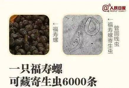 别吃！寄生虫多达6000条！浙江一地大量出现<strong></p>
<p>杭州理财</strong>，看到立刻上报