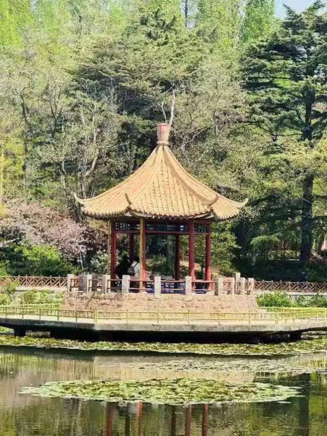 青岛中山公园一凉亭突然倒塌：一年前刚完成修缮<strong></p>
<p>基金理财产品</strong>，园方称无伤亡原因待查