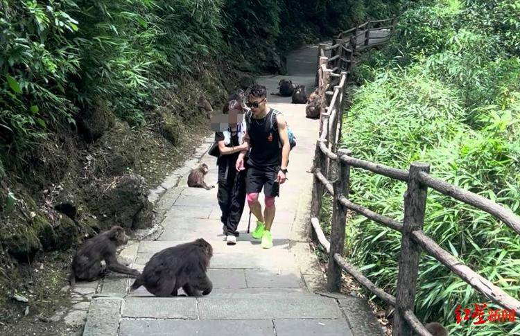揭秘峨眉山陪爬团队：已陪爬千名游客九成为女性<strong></p>
<p>民生银行理财</strong>，不会主动拉背扛抱，主要保障安全