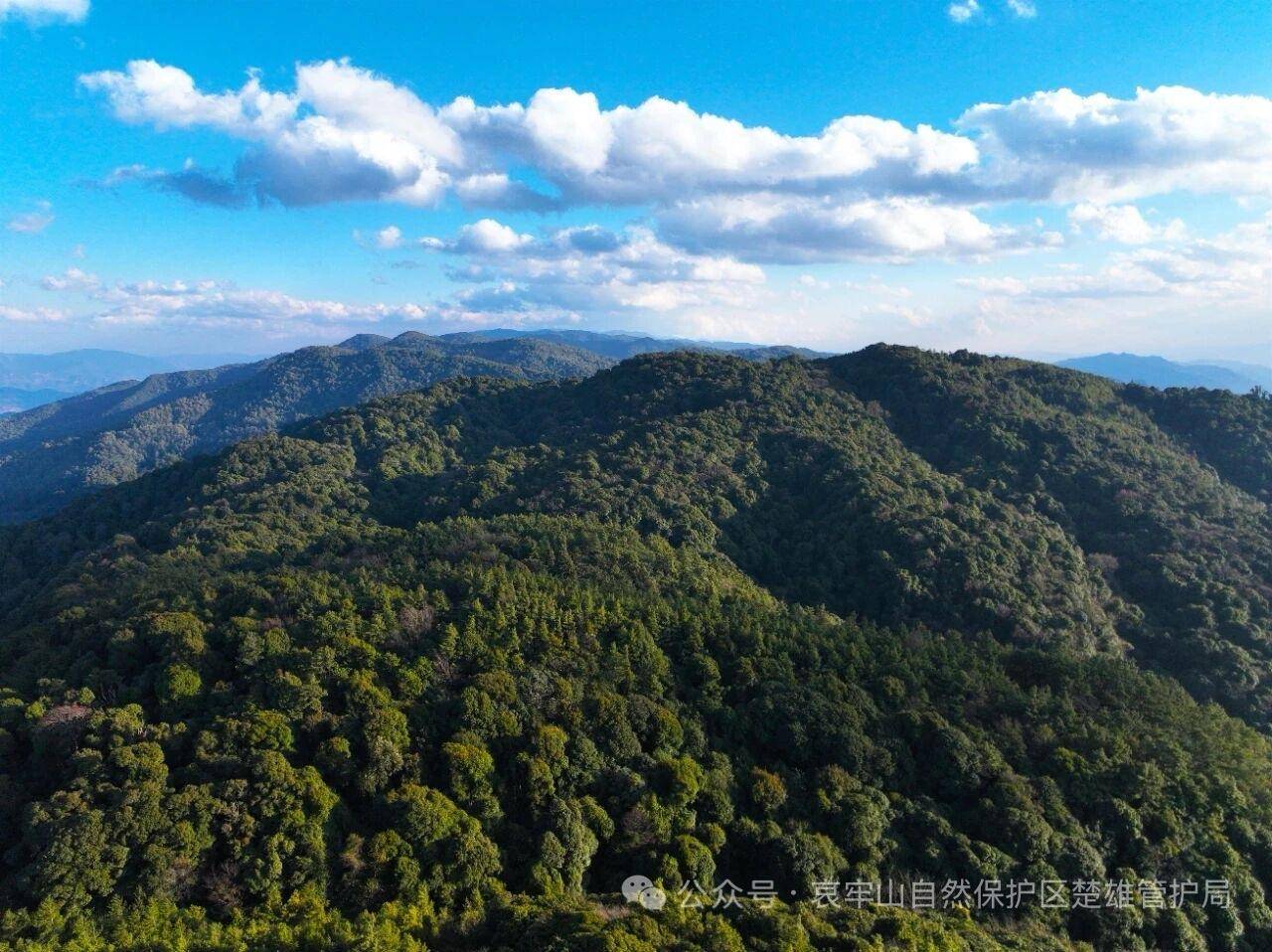 云南哀牢山新规出台：禁止任何单位和个人擅入哀牢山自然保护区<strong></p>
<p>苏理财</strong>，从事科研活动须报批