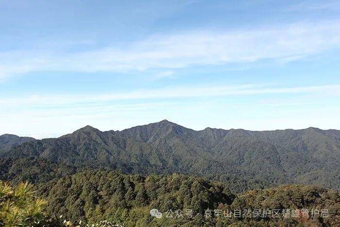 云南哀牢山新规出台：禁止任何单位和个人擅入哀牢山自然保护区<strong></p>
<p>苏理财</strong>，从事科研活动须报批