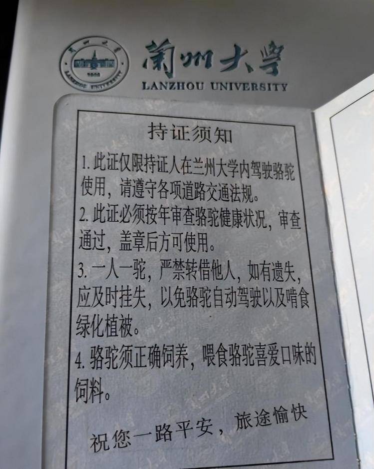一人一驼<strong></p>
<p>苏理财</strong>，骆驼尾气排放超标要扣分？兰大回应学生持证骑骆驼上学：骆驼驾驶证为学校文创，非官方证件