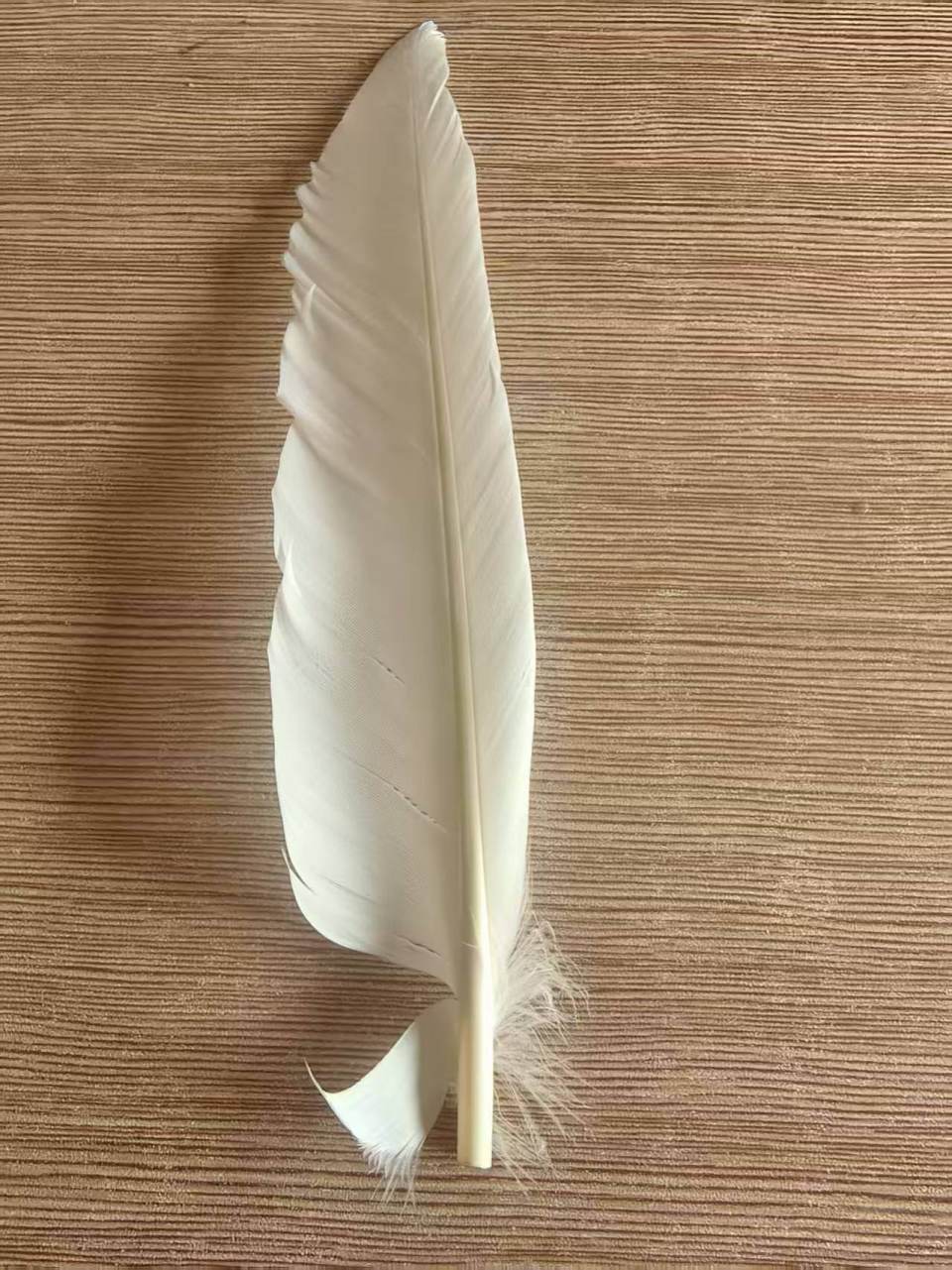 羽毛球又又又涨价<strong></p>
<p>苏理财</strong>，球友破防：月花三千扛不住，打球人的天塌了