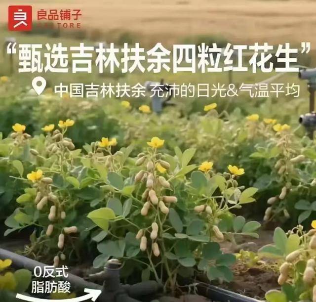 “花生上树”闹剧：AI翻车背后<strong></p>
<p>工银理财</strong>，我们都在弄丢常识？