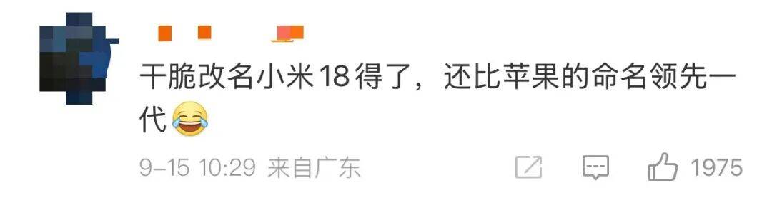 雷军：全面对标iPhone<strong></p>
<p>定投理财</strong>，正面迎战！小米宣布跳过16系列，直接发布17
