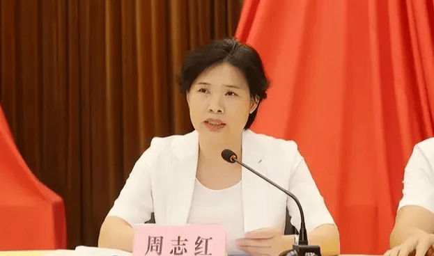 中共中央批准<strong></p>
<p>定投理财</strong>，开除周志红党籍