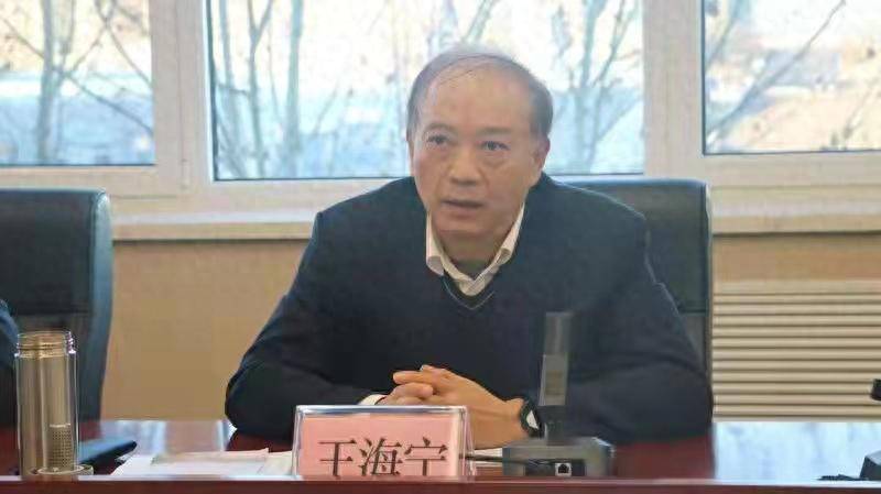 涉嫌严重违纪违法！王海宁<strong></p>
<p>定投理财</strong>，被查