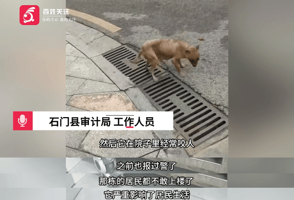 保安称“经常咬人”打死流浪犬<strong></p>
<p>中信银行理财</strong>，居民上门讨说法：这个门卫穷凶极恶