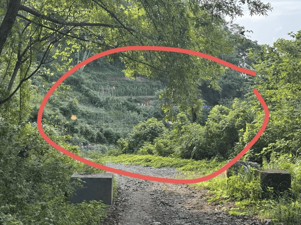 杭州女子误踩“化骨水”身亡<strong></p>
<p>稳理财</strong>，当地：已锁定化学品所有者，发现三桶，一桶完整，两桶残余