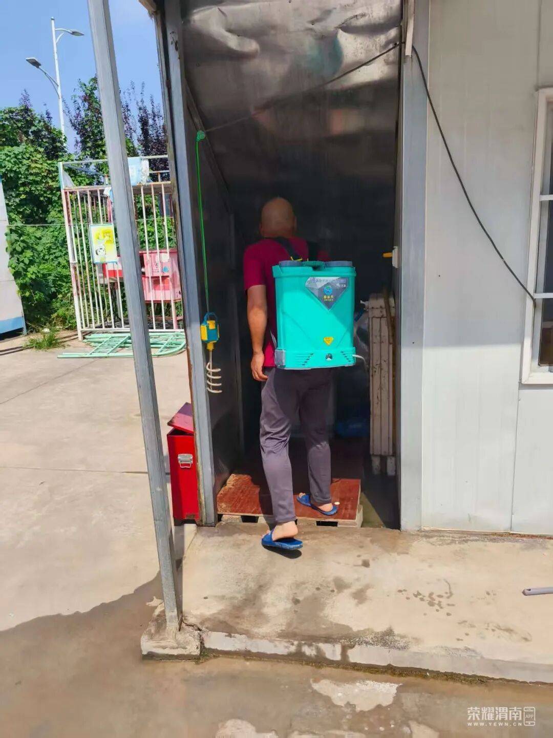 西安多区发现隐翅虫？千万别拍<strong></p>
<p>稳理财</strong>！毒液堪比硫酸