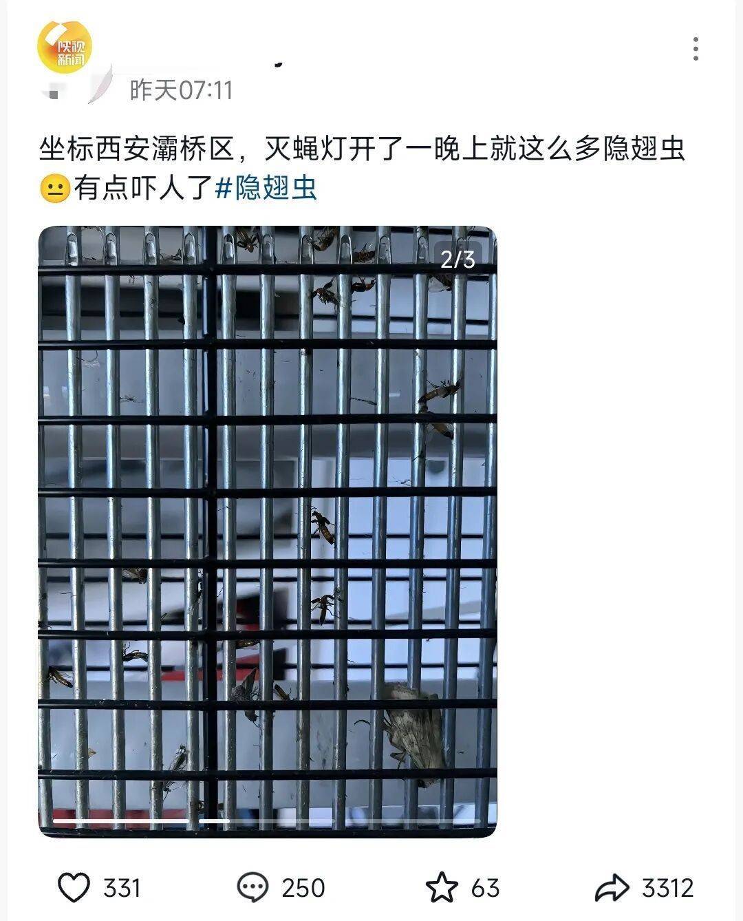 西安多区发现隐翅虫？千万别拍<strong></p>
<p>稳理财</strong>！毒液堪比硫酸