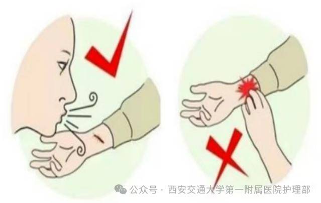 西安多区发现隐翅虫？千万别拍<strong></p>
<p>稳理财</strong>！毒液堪比硫酸