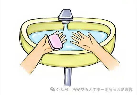 西安多区发现隐翅虫？千万别拍<strong></p>
<p>稳理财</strong>！毒液堪比硫酸