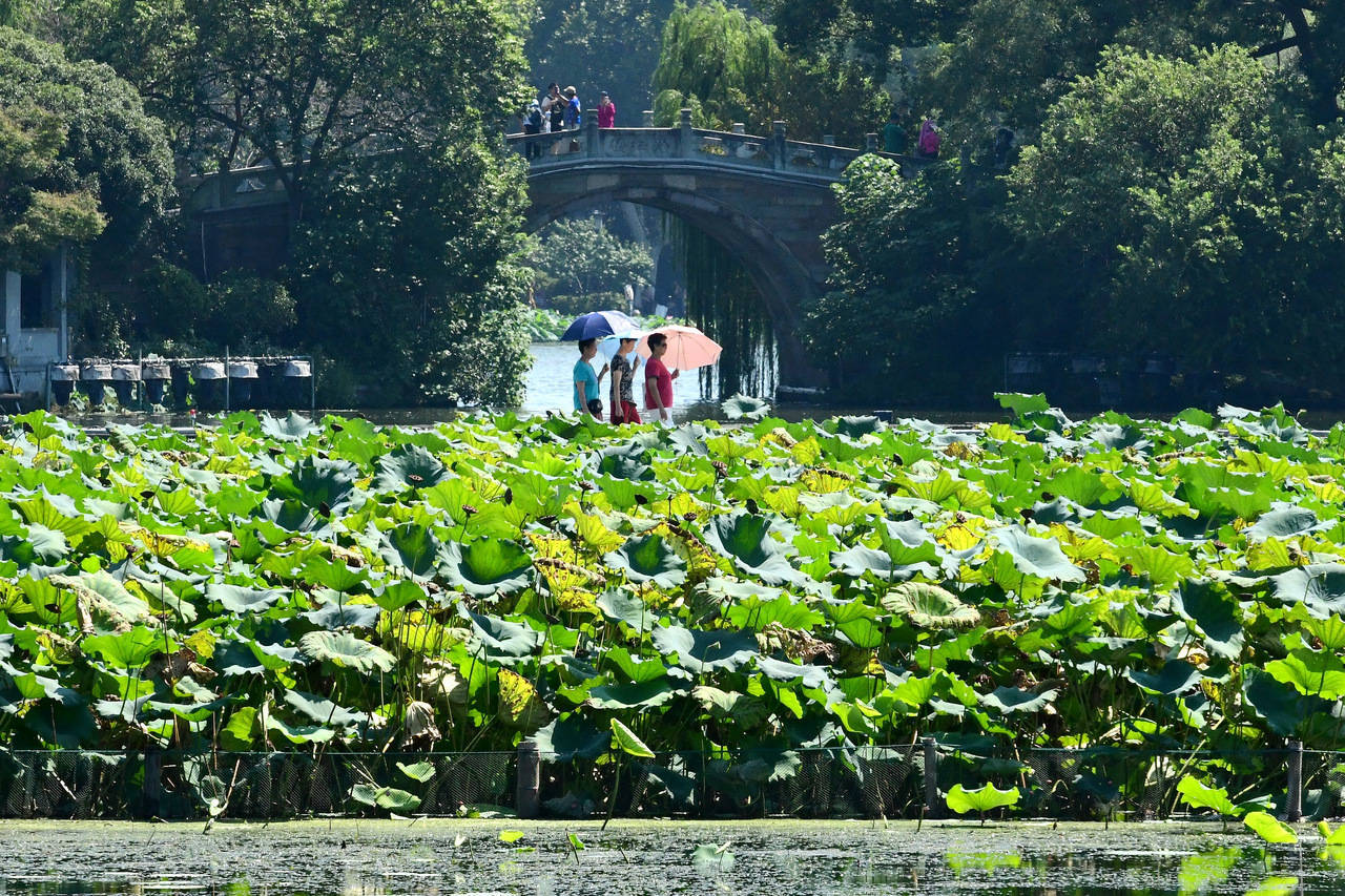 “三台共舞”对浙江有何影响？周末又有冷空气<strong></p>
<p>理财定投</strong>，气温舒适