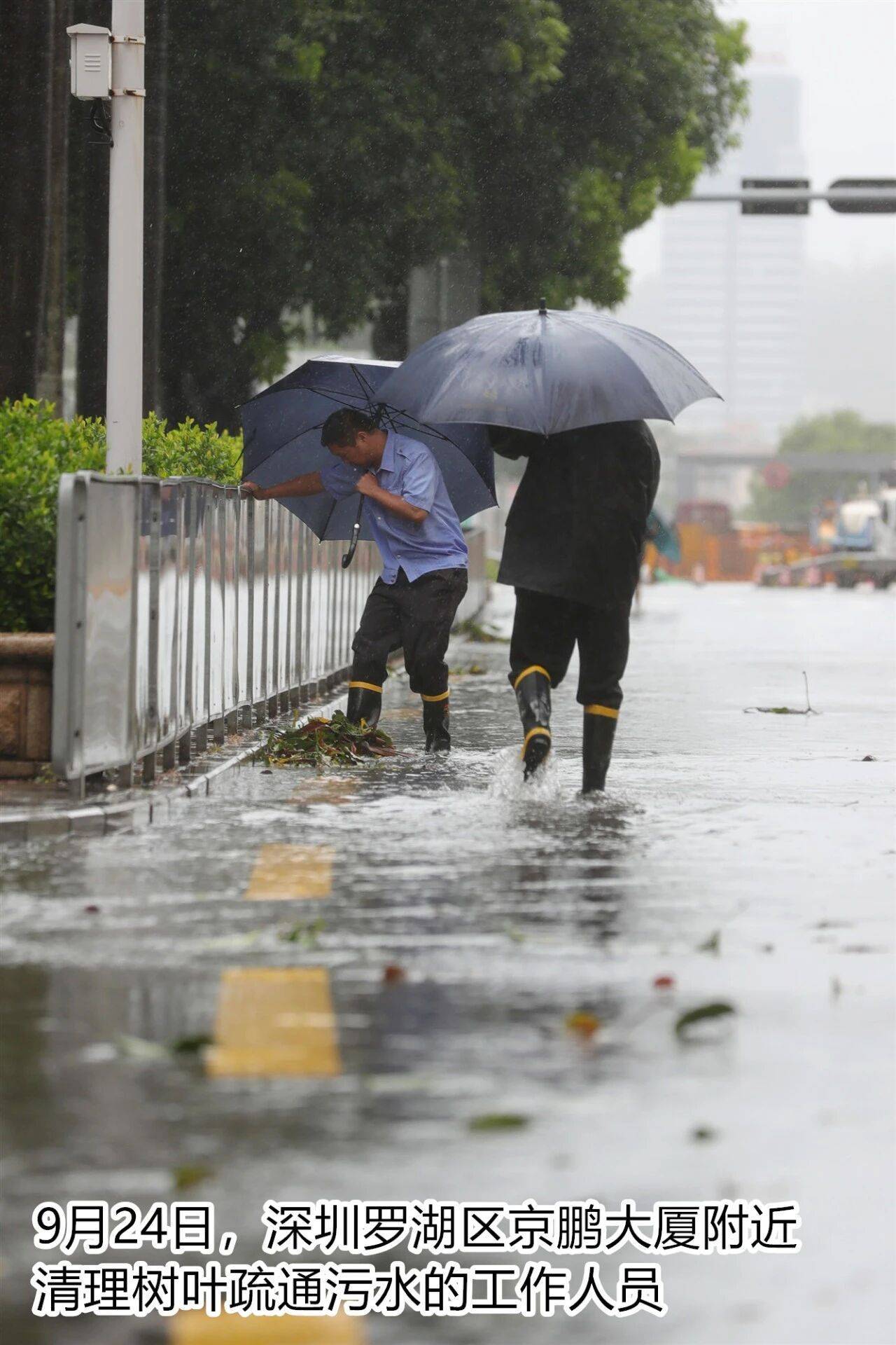 台风夜<strong></p>
<p>陆理财</strong>，深圳有人溺水！紧急！“桦加沙”过境，这些画面泪目