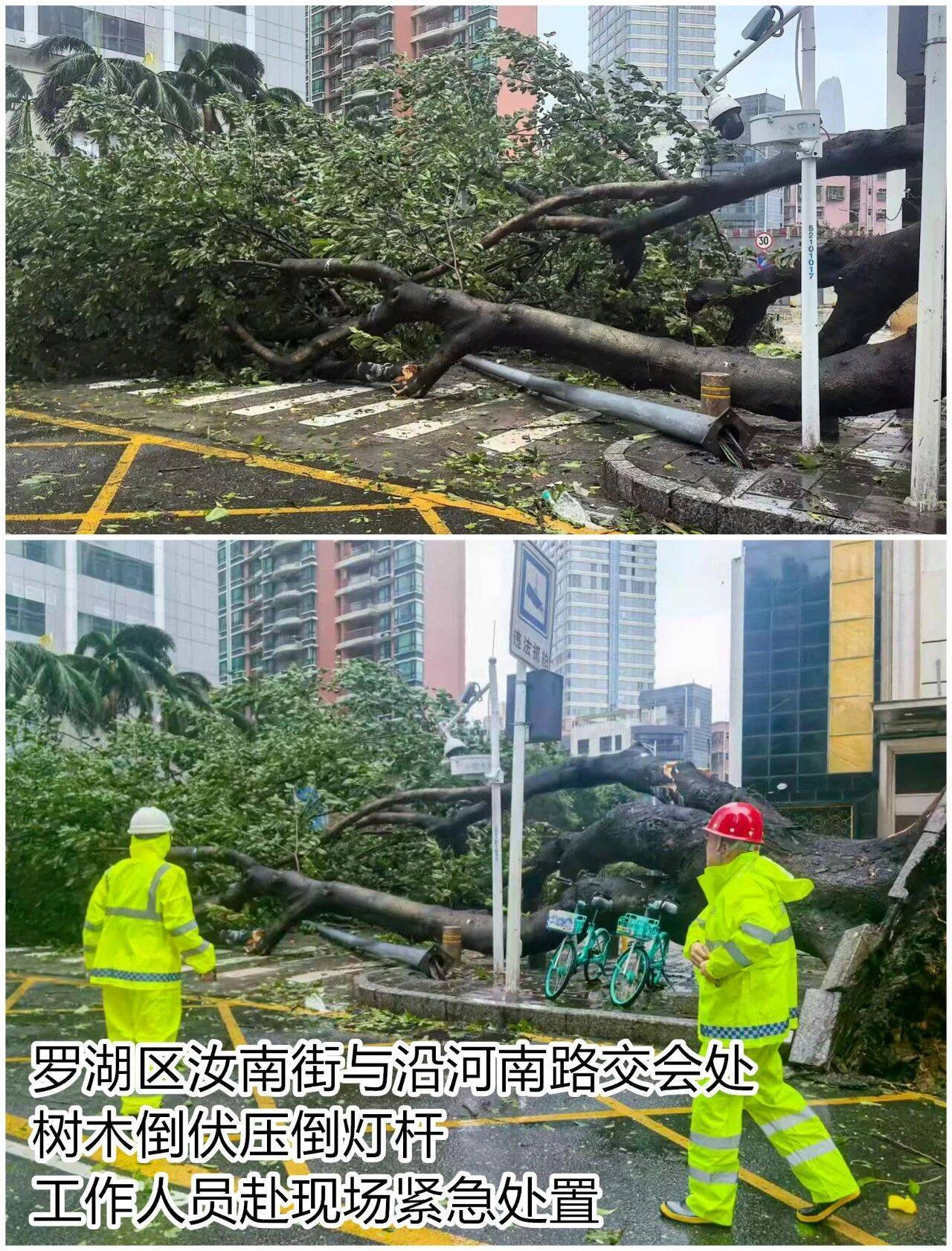 台风夜<strong></p>
<p>陆理财</strong>，深圳有人溺水！紧急！“桦加沙”过境，这些画面泪目