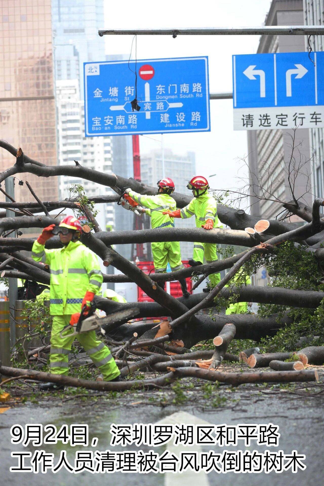 台风夜<strong></p>
<p>陆理财</strong>，深圳有人溺水！紧急！“桦加沙”过境，这些画面泪目