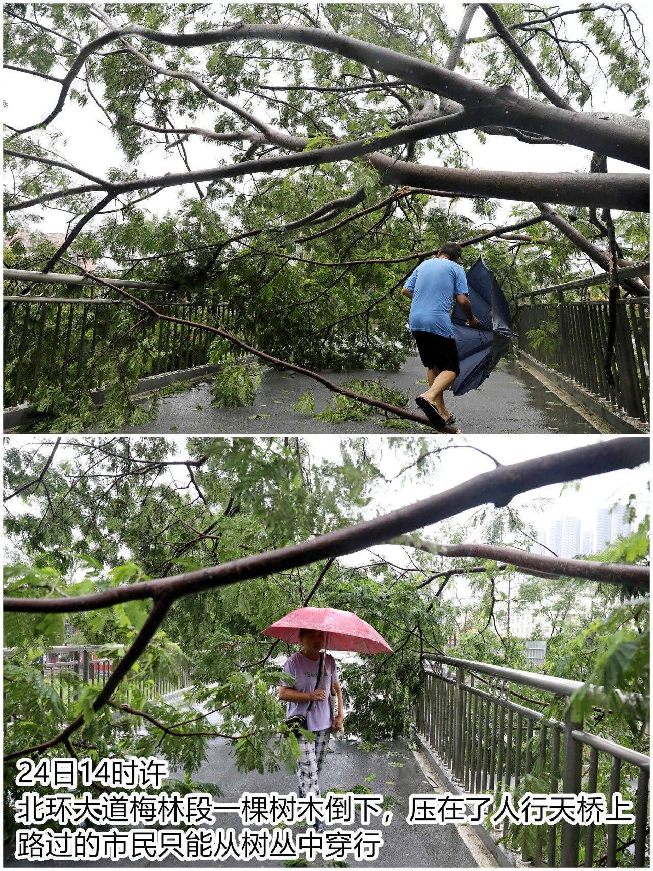 台风夜<strong></p>
<p>陆理财</strong>，深圳有人溺水！紧急！“桦加沙”过境，这些画面泪目