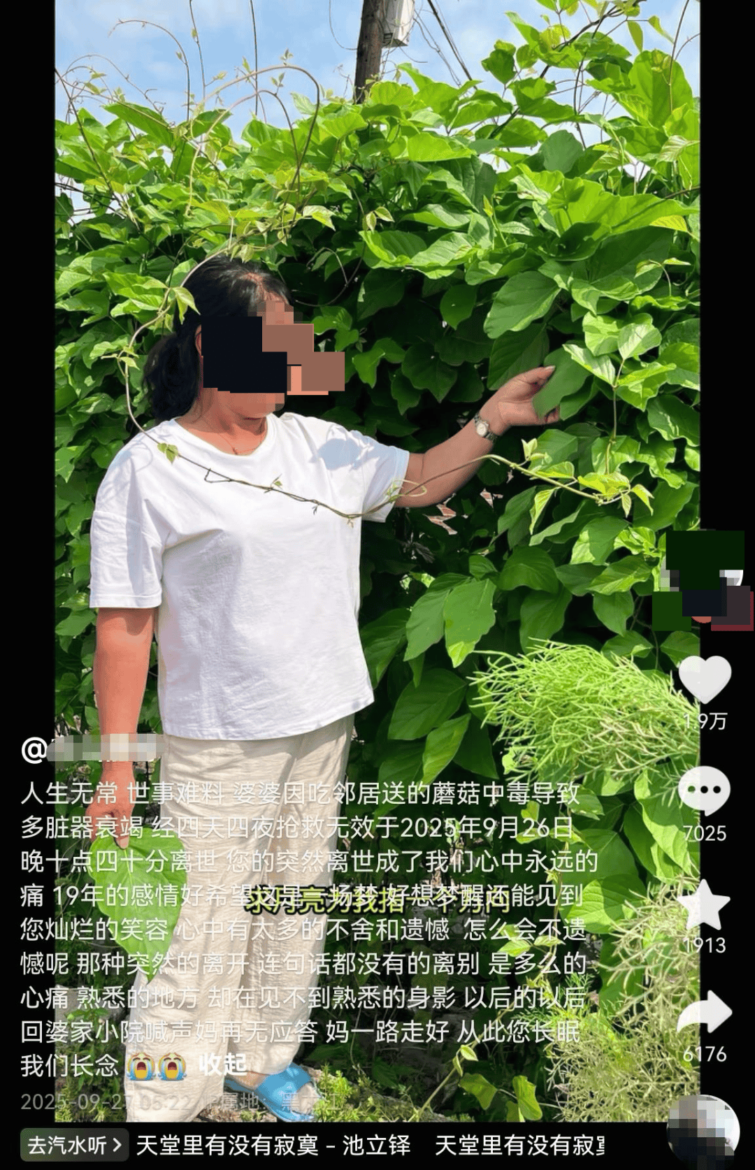 网红发文悼念婆婆：吃了邻居送的蘑菇中毒<strong></p>
<p>理财英文</strong>，抢救四天四夜死亡！这些蘑菇避毒原则可能是陷阱→
