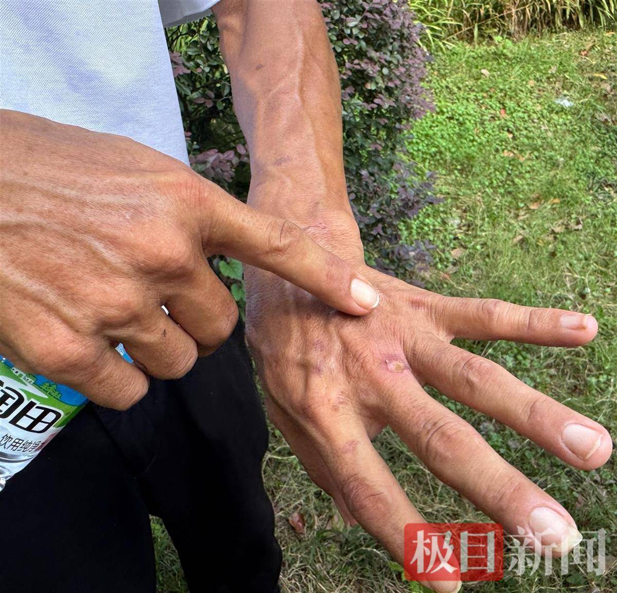 “鸡排哥”赚得盆满钵满购置多套房产？当事人幽默回应：还没到一个亿<strong></p>
<p>理财金融</strong>，你多来，我才能多卖2份
