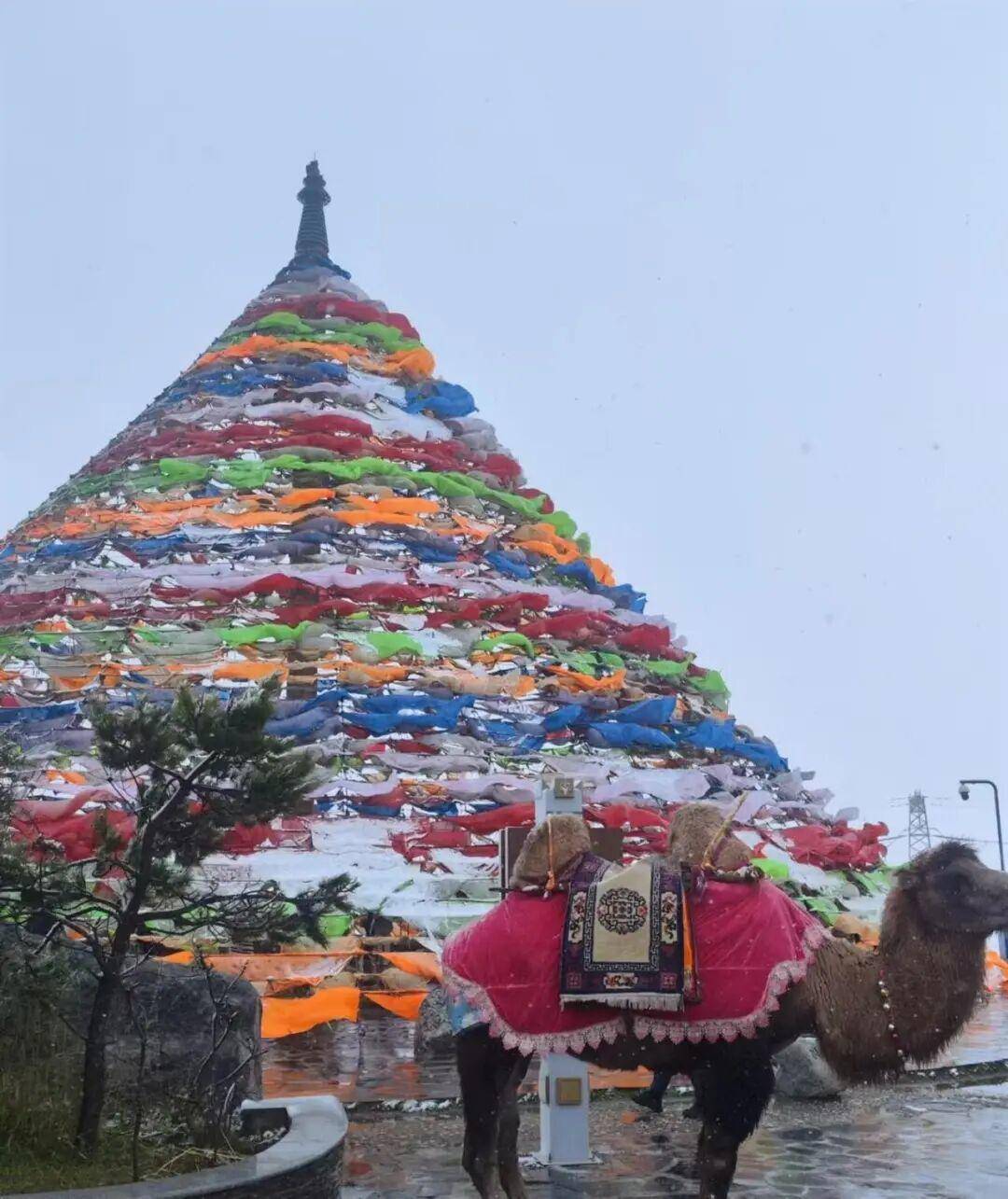 多地突降大雪<strong></p>
<p>理财金融</strong>！