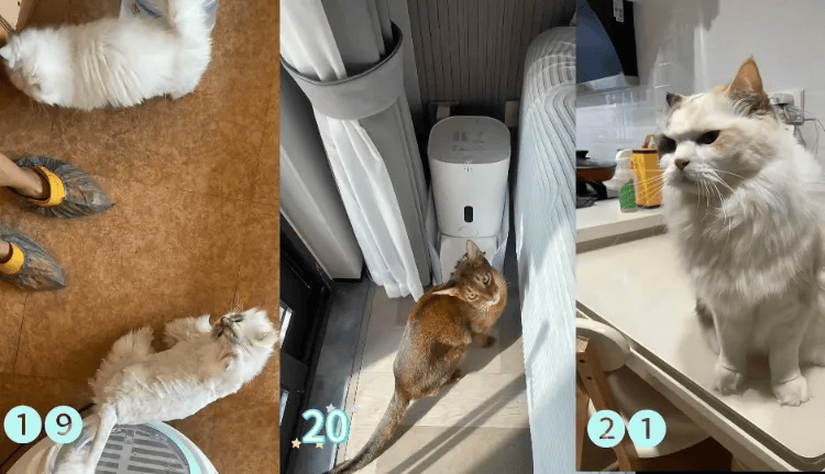 这个需求激增!一男子连接270单<strong></p>
<p>理财产品净值</strong>,其中一笔收费8100元