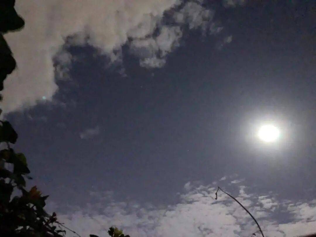 没有什么能阻挡！今天<strong></p>
<p>理财产品净值</strong>，广西人就是要回家！