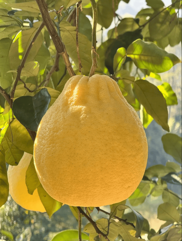 没有什么能阻挡！今天<strong></p>
<p>理财产品净值</strong>，广西人就是要回家！