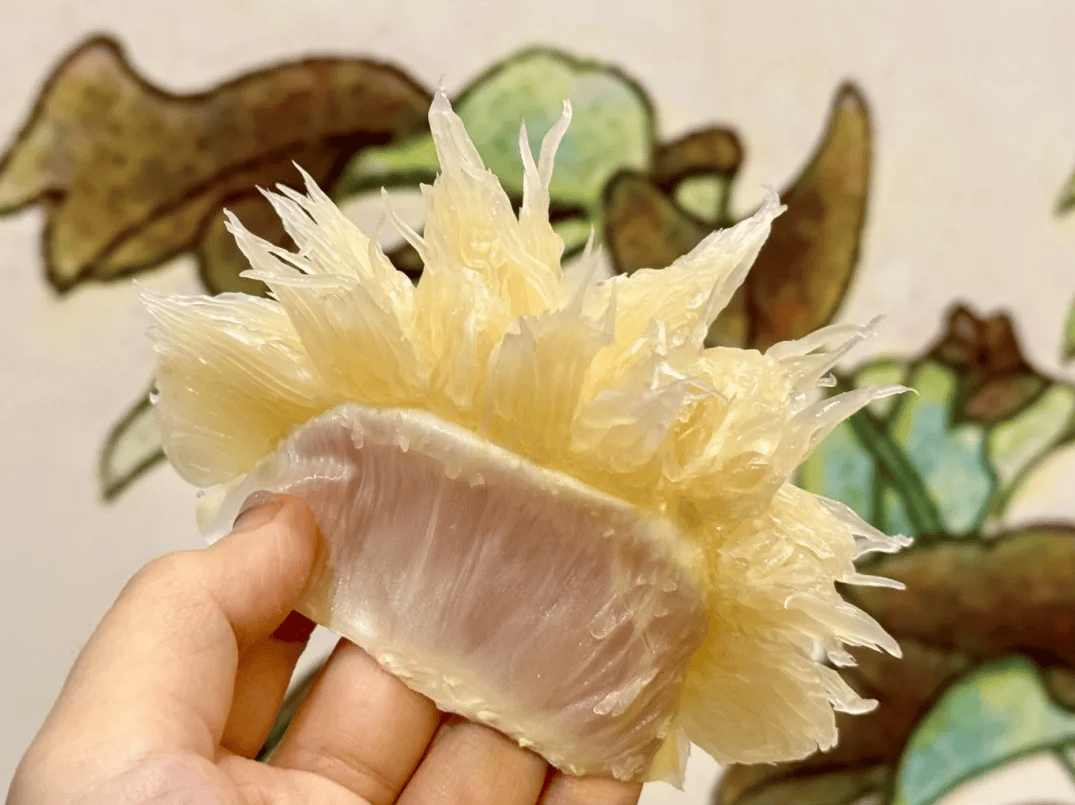 没有什么能阻挡！今天<strong></p>
<p>理财产品净值</strong>，广西人就是要回家！