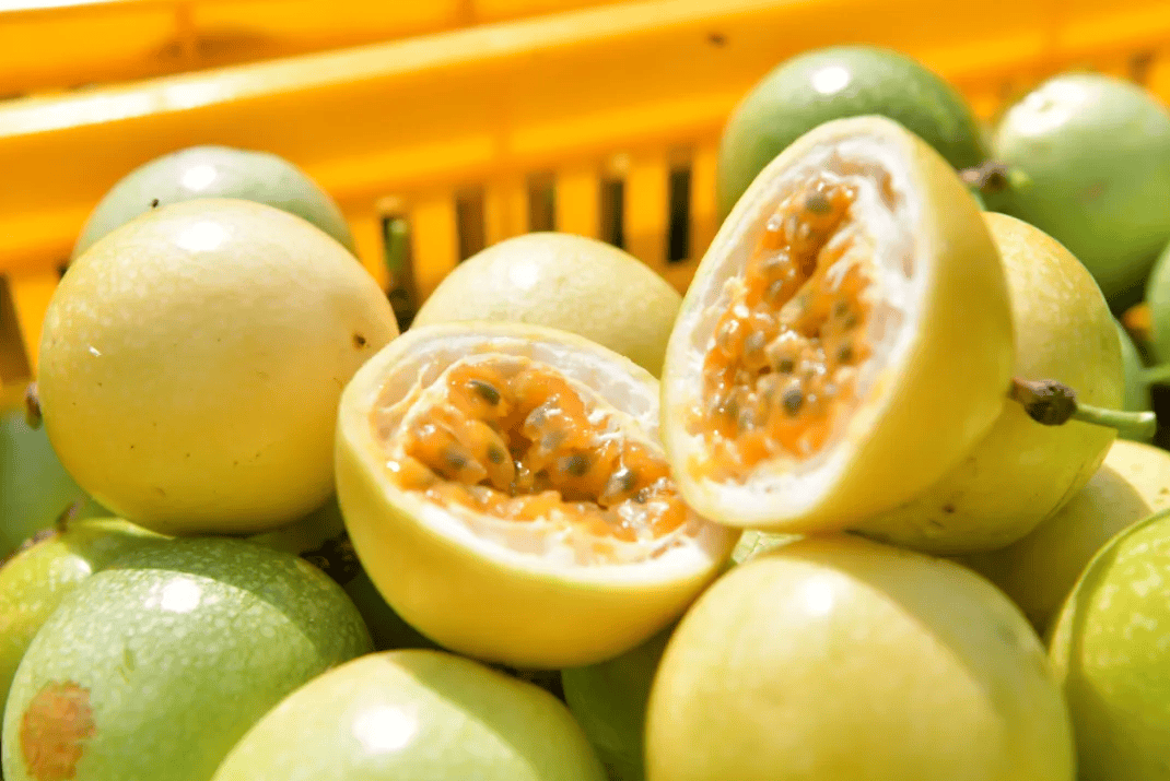 没有什么能阻挡！今天<strong></p>
<p>理财产品净值</strong>，广西人就是要回家！