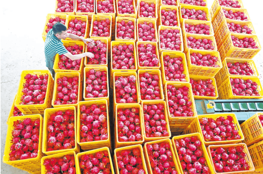 没有什么能阻挡！今天<strong></p>
<p>理财产品净值</strong>，广西人就是要回家！