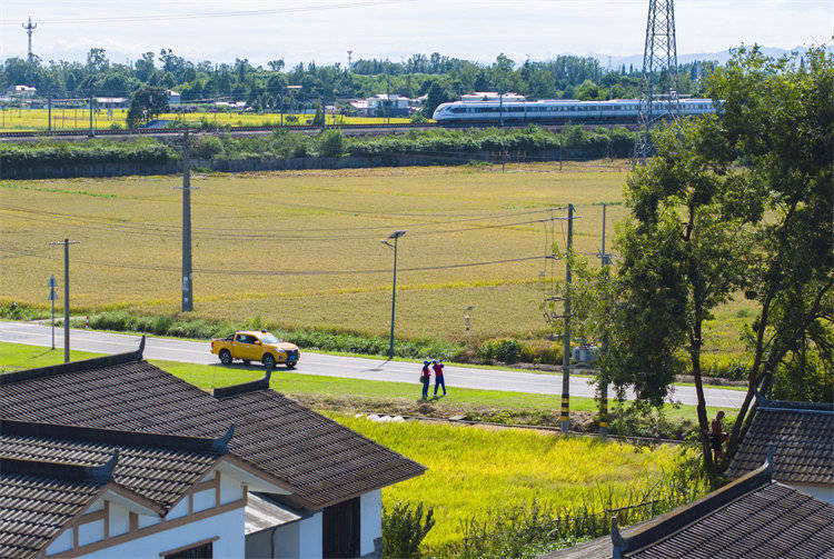 阖家团圆时<strong></p>
<p>理财系统</strong>，他们守护蓉城灯火