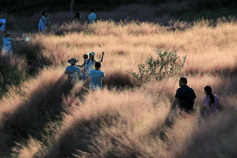 打卡拍照<strong></p>
<p>理财系统</strong>，再美也不能用生命对焦