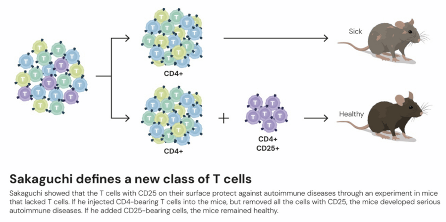 这个诺奖迟到了30年<strong></p>
<p>光大银行理财</strong>!三位科学家揭示免疫系统如何避免“自相残杀”