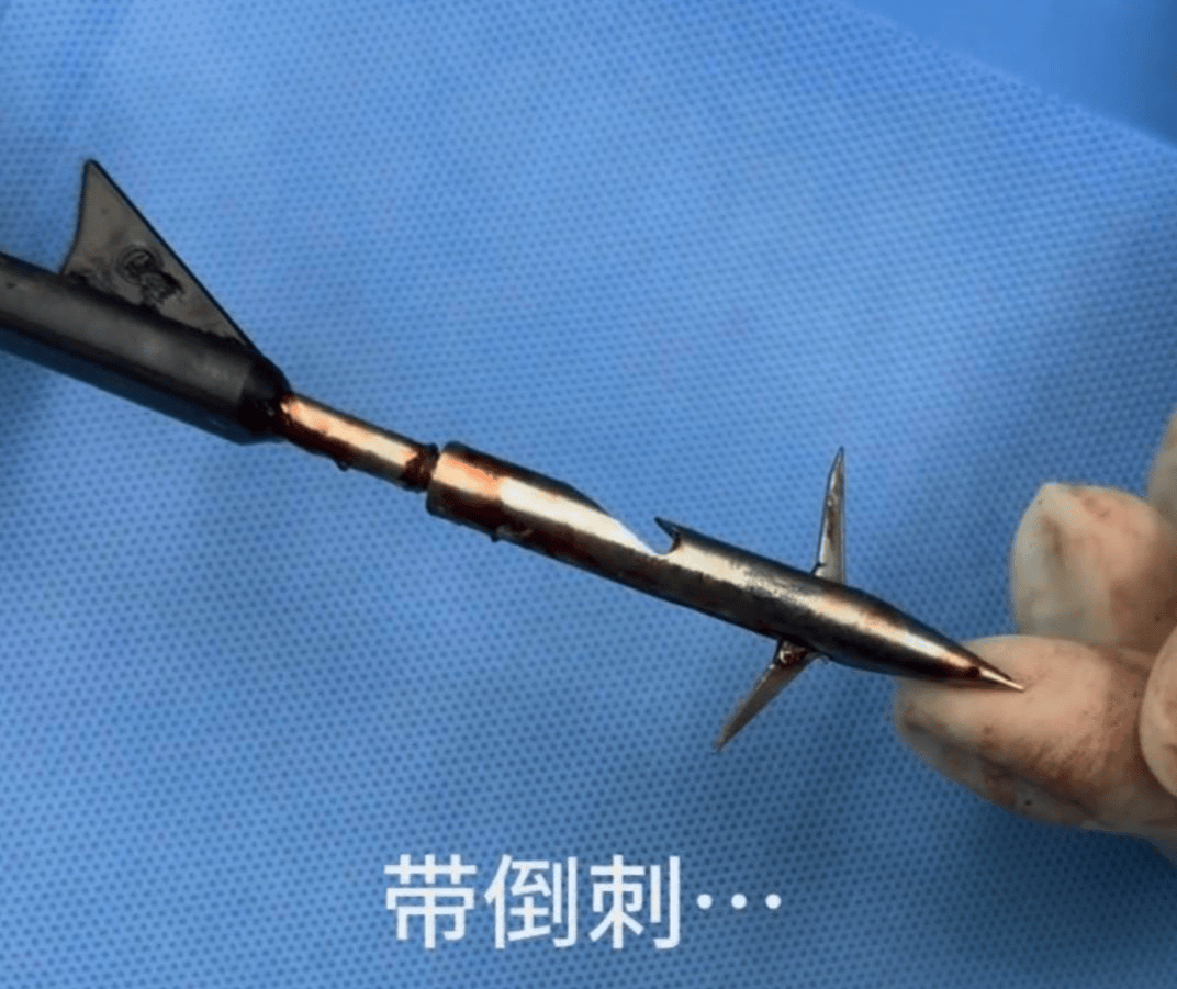 教育局回应“一教师用弓箭射杀小狗”:不实<strong></p>
<p>基础理财</strong>,小狗进学校前就被射伤