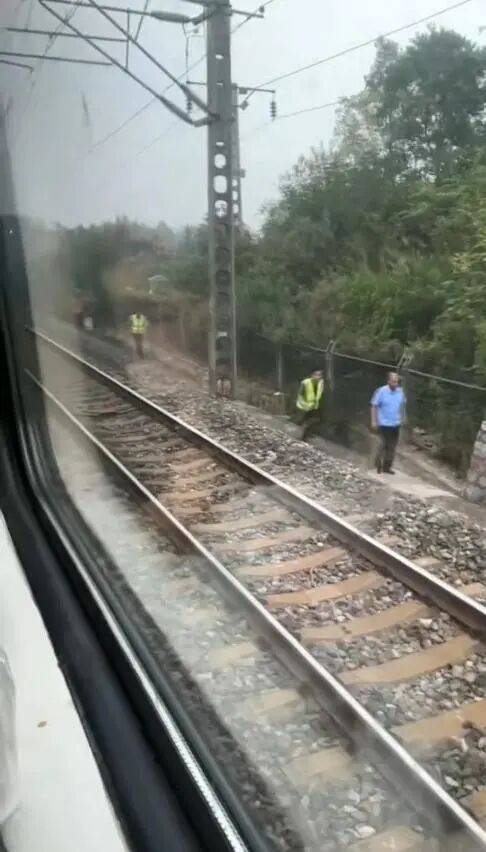 湖北一列车撞上野猪致停运<strong></p>
<p>基础理财</strong>，铁路局：野猪已无害化处理，列车正常运行；附近曾发生多起野猪伤人事件