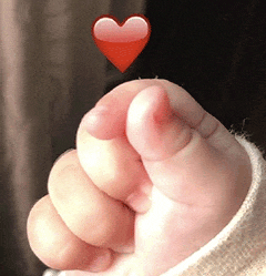 热热热<strong></p>
<p>基础理财</strong>,未来几天最高气温将达35℃!