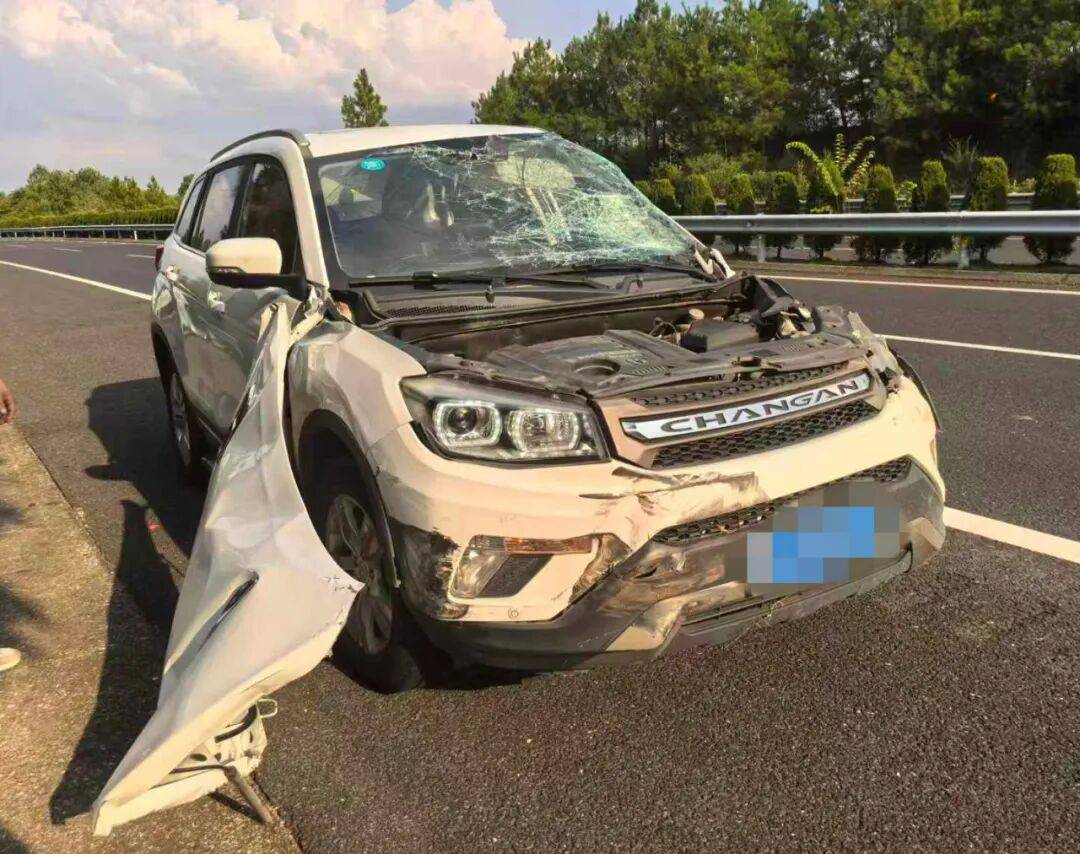 “我撒谎天打雷劈！”男子高速突然强行变道致翻车<strong></p>
<p>基础理财</strong>，反诬赖对方