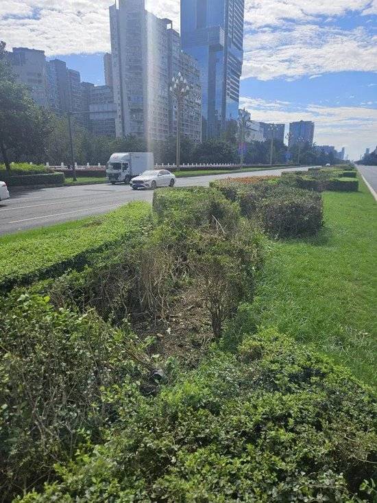 小米汽车失控起火司机遇难<strong></p>
<p>理财教程</strong>，目击者称车速150km/h，实探事故地：燃烧留下的印记仍在