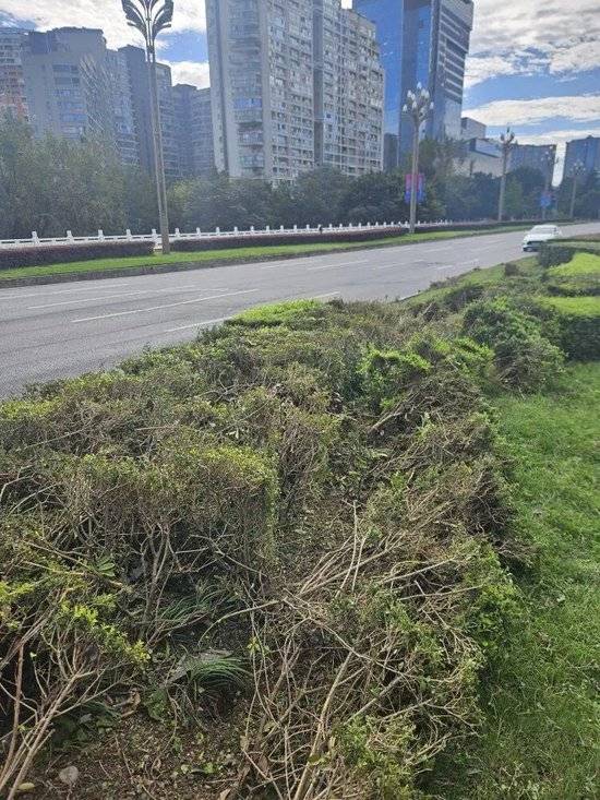 小米汽车失控起火司机遇难<strong></p>
<p>理财教程</strong>，目击者称车速150km/h，实探事故地：燃烧留下的印记仍在