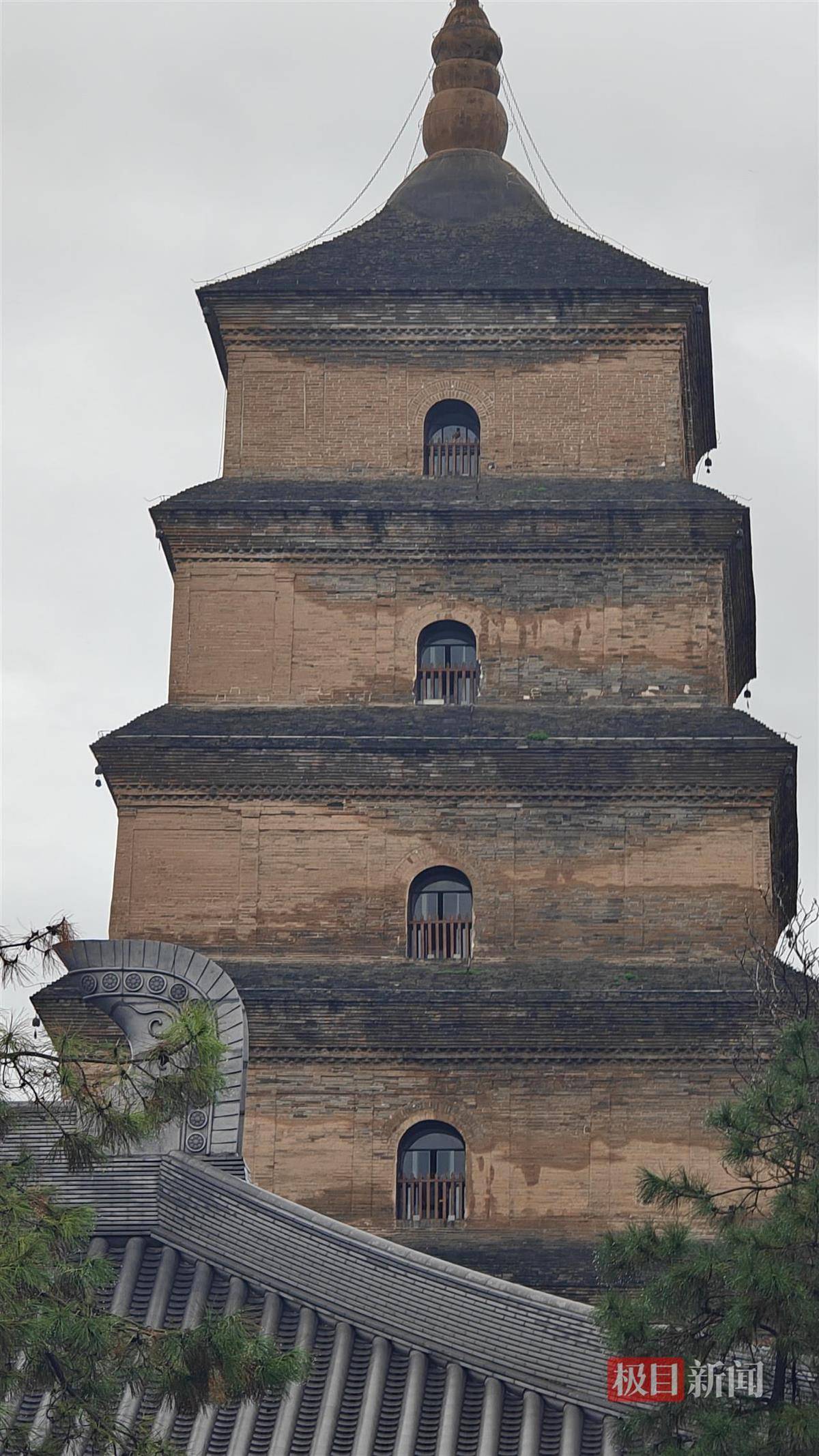 西安连续一个多月降雨遍地长蘑菇<strong></p>
<p>理财教程</strong>,大雁塔受潮,城墙布满青苔,气象局解释成因