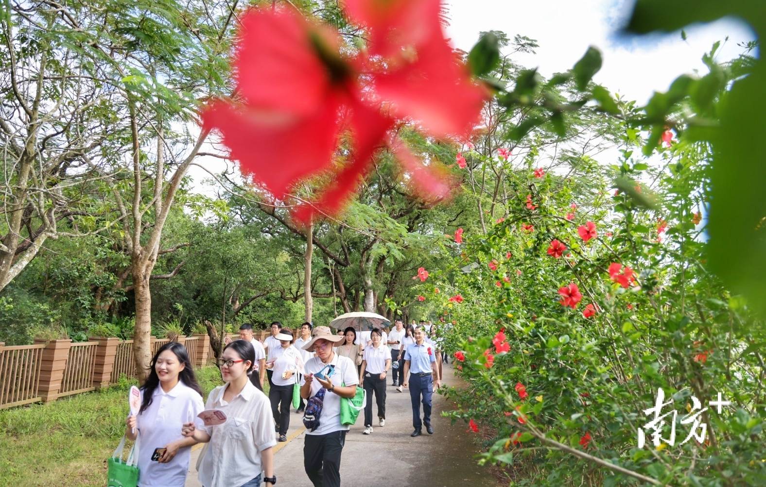 中山城建集团“连心桥”移交<strong></p>
<p>理财教程</strong>,村企共建绘就桂南新画卷