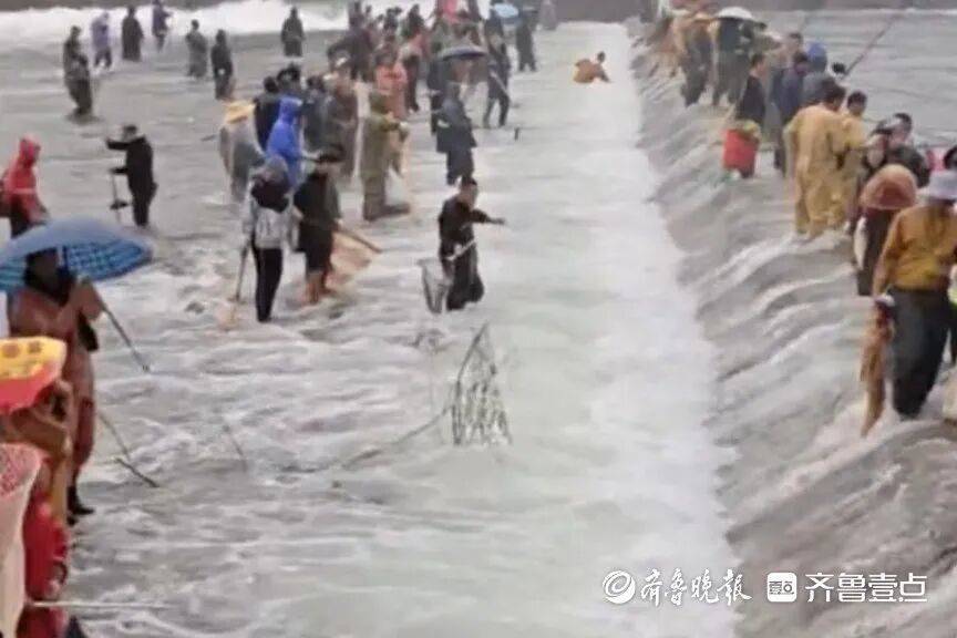 “鱼多得数不过来<strong></p>
<p>微信的理财</strong>,一网子下去能捞好几条”济南锦绣川水库开闸放水,大量鲢鱼被冲出,工作人员:禁止捕捞!
