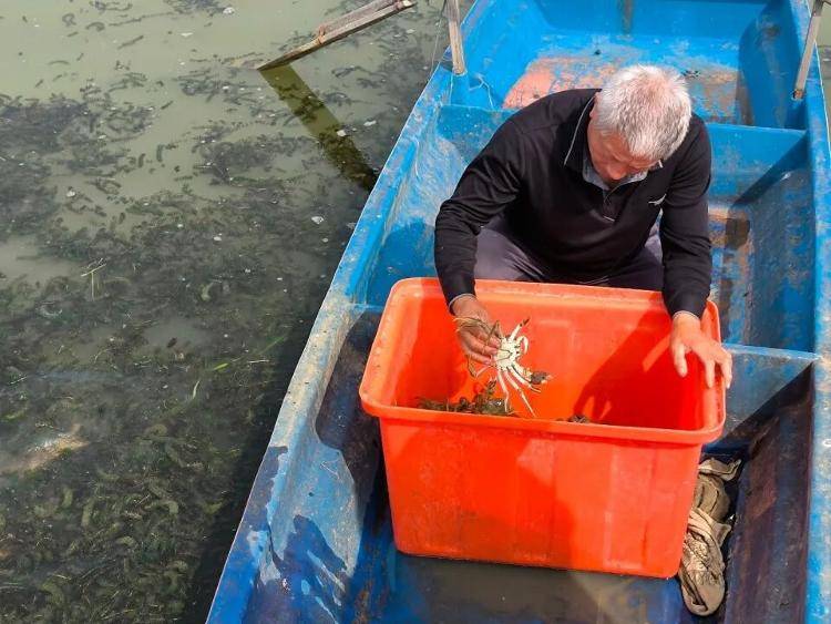 武汉江夏一地大闸蟹大量上市<strong></p>
<p>理财钱包</strong>，日产1000斤当天售完，每只螃蟹有自己的“身份证”，吃深海小黄鱼长大