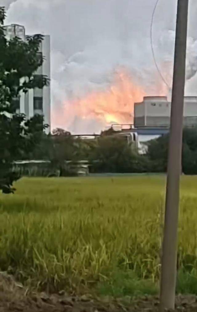 澄星股份工厂发生火灾?附近酒店:已灭火<strong></p>
<p>第一理财</strong>,有刺激性气味,建议不开窗