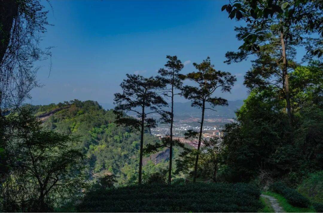 为什么年轻人迷上了爬山? | 秋高气爽<strong></p>
<p>深圳理财</strong>,是时候出发了→