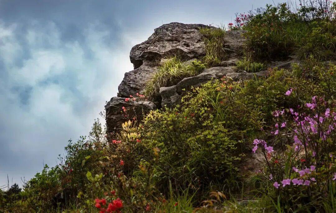 为什么年轻人迷上了爬山? | 秋高气爽<strong></p>
<p>深圳理财</strong>,是时候出发了→